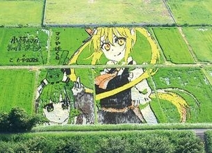 人気アニメとコラボ企画　越谷で田んぼアートが見頃　「小林さんちのメイドラゴン」　声優によるガイド、限定ステッカー販売も