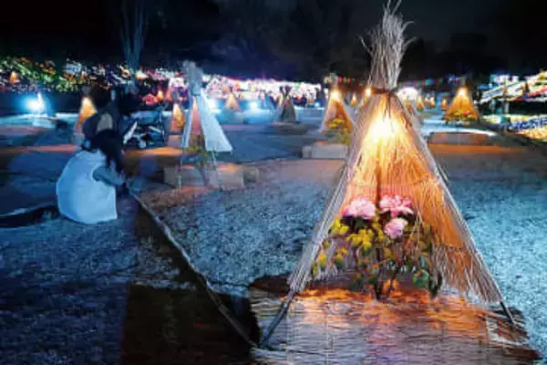 今年が初…「新春ぼたん展」でライトアップ　埼玉・東松山ぼたん園、3連休と週末に　通常は春に咲くボタン、特別な温度管理で冬に開花　真冬の夜に照らし出される大輪の花