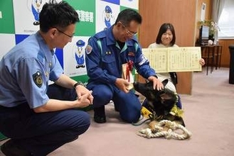 警察犬「おはぎ」初仕事でお手柄…行方不明の80代女性を発見、夜の街を30分追跡　普段は甘えん坊　家族のように育てた指導士も笑顔