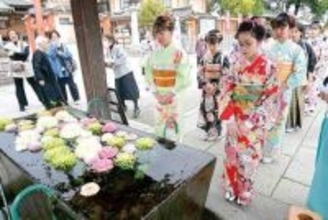 日本髪に着物で参拝　数え年で13歳を迎えた子どもたちの健やかな成長を祝う「十三参り」　埼玉・東松山の箭弓稲荷神社