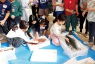 児童が本物の魚にタッチ　食育活動の一環で　埼玉・和光の小学校　体験を通じて魚への理解を深める　刺し身が出来上がる様子を目の当たりに