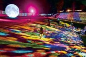 “神秘の宇宙”　埼玉・東松山のぼたん園　宇宙をテーマにした「コスモイルミネーション」が25日まで　25万球のLEDの光と音楽で、幻想的な雰囲気を演出