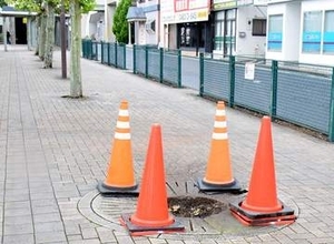 ＜台風15号＞まさか…久喜駅前で木が倒れる被害発生　「風が強かったが」「この辺りの倒木は初めて」
