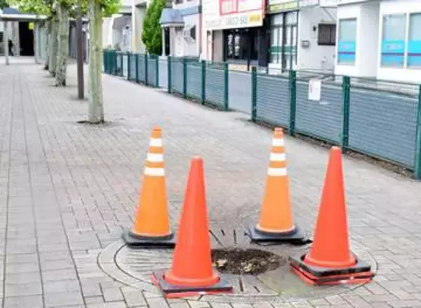 ＜台風15号＞まさか…久喜駅前で木が倒れる被害発生　「風が強かったが」「この辺りの倒木は初めて」