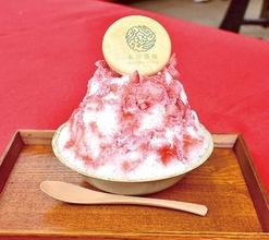日本一長い参道からの定番ルート…かき氷専門店を食べ歩く愛好家らも　大宮の氷川茶庭、期間限定かき氷「氷川氷」を販売　氷川神社境内の額殿をリノベ　果実感たっぷりイチゴのシロップ、ふわふわ氷を包む