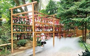 幻想的な夏を…“雲海ミスト”と千個の風鈴、鎮守の森に　さいたま・岩槻の久伊豆神社、シンボルのクジャク描いた風鈴を飾る「涼鈴詣」　31日まで　きょう8日は「夜い宮」、ライトアップやライブを実施