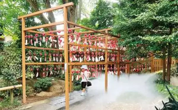 幻想的な夏を…“雲海ミスト”と千個の風鈴、鎮守の森に　さいたま・岩槻の久伊豆神社、シンボルのクジャク描いた風鈴を飾る「涼鈴詣」　31日まで　きょう8日は「夜い宮」、ライトアップやライブを実施