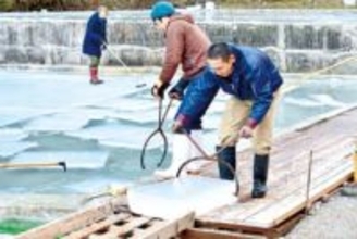 「今年は厳しい冷え込みが続き…立派な氷に」　輝く自然の宝石「天然氷」の切り出し　名物のかき氷に使用、ふわふわとした滑らかな食感　