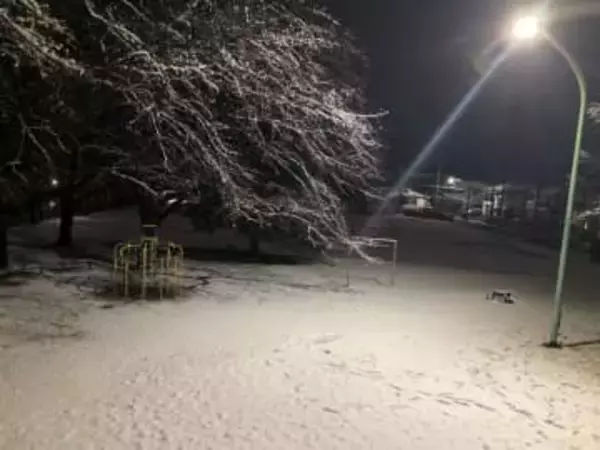 【速報】埼玉県さいたま市で5センチの積雪　交通障害が相次ぐ