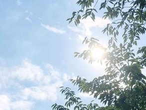 夏季プール営業日前倒し　水上公園3カ所で7月4日から　しらこばとでナイトプールも