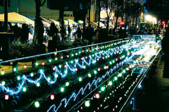 色とりどり、より盛大に…4万球の光、星川の水面照らす　埼玉・熊谷で星川イルミネーション　昨年から大幅に増えた電飾、区間も800メートルに延長　来年3月15日まで