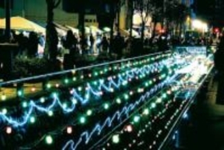 色とりどり、より盛大に…4万球の光、星川の水面照らす　埼玉・熊谷で星川イルミネーション　昨年から大幅に増えた電飾、区間も800メートルに延長　来年3月15日まで