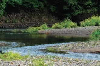 意識不明…女性が溺れる　身元判明、アルバイト26歳　大学時代の友人らでバーベキューしていた　川中央の岩場で遊ぶ女性、流される…友人男性2人が陸地から追って助けるも心肺停止　病院で治療中の女性、意識戻らず