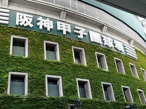 ＜高校野球＞花咲徳栄、対戦決まる　大会第8日に初戦