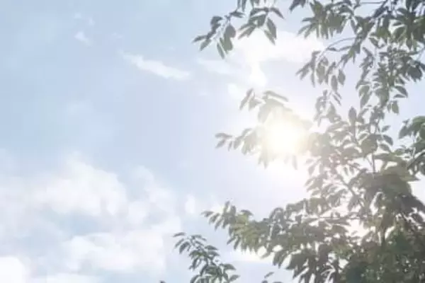 全国から店集結！人気“コエド芋パーク”川越で開催へ　あす14、15日　「流星のロックマン　パーフェクトコレクション」のコラボ企画も