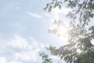 全国から店集結！人気“コエド芋パーク”川越で開催へ　あす14、15日　「流星のロックマン　パーフェクトコレクション」のコラボ企画も