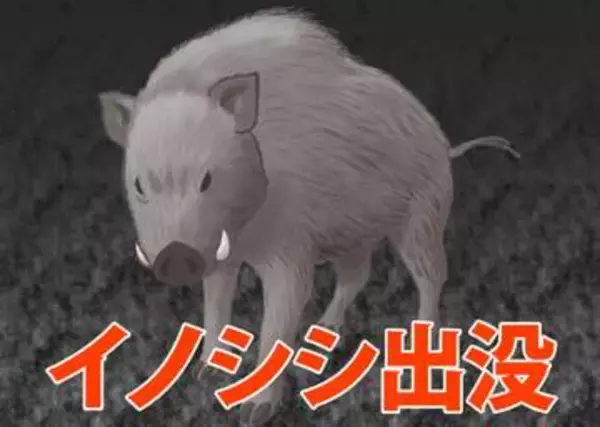【危険動物】埼玉でイノシシ目撃　体長1メートルほど　近くにショッピングモールや高速道路ICがあるエリア