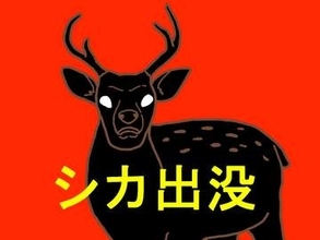 【危険動物】埼玉でシカ目撃か　角があり体長1.5メートル、都市部の川近く