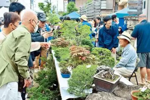 つい欲しくなる…盆栽や山野草など1万鉢以上を販売　大宮の盆栽村で「大盆栽まつり」、国内外の愛好家ら楽しませる　盆栽博士ちゃんも出店…今年は手間が少ない、手のひらサイズの盆栽を充実　5日まで