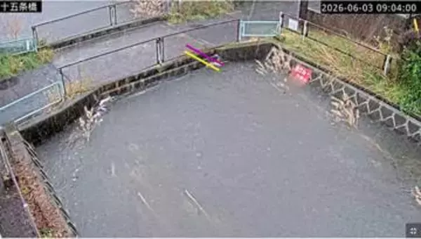 ＜台風6号＞JR武蔵野線など運転中止、道路冠水2カ所で通行止め…最大48人が避難　川口で床上浸水12件　小学校670校など多くの学校が臨時休業