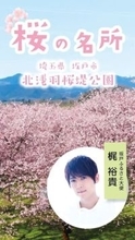 声優の梶裕貴さんがPR　埼玉・坂戸のふるさと大使　坂戸の桜の名所「北浅羽桜堤公園」のPR動画でナレーション務める