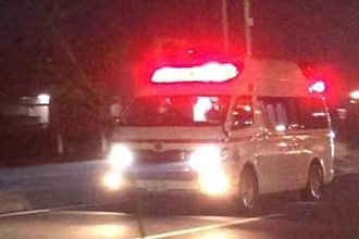 国道17号で歩行者死亡…大型トラックにはねられ、男性は頭部強打　午前4時すぎ、片側2車線の直線道路で発生　搬送先で死亡確認　警察が身元確認を進める