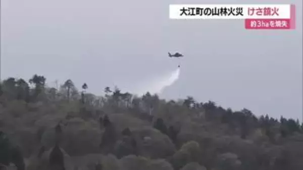 鎮火確認…大江町の山林火災で約3ヘクタール焼失　けが人・建物などへの延焼なし　山形