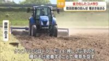 乾いた田んぼに直接種もみをまく“省力化”特徴の「乾田直播」　26日には種まき終える　山形・三川町