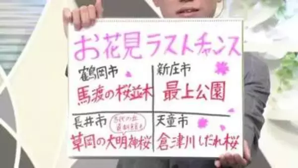 【エンドトーク】「倉津川のしだれ桜」　きょうの1枚＆ラストチャンスお花見スポット情報　山形