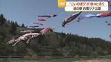 「川の上を雄大に泳ぐ150匹の「こいのぼり」…39年前から続く風物詩　山形・白鷹町」の画像1