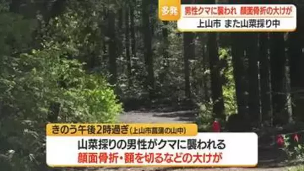また山菜採り中の男性が…上山市菖蒲の山中でクマに襲われ顔面骨折の大けが　山形