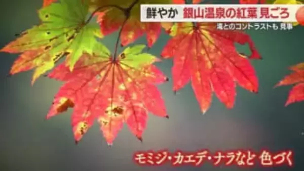 銀山温泉の紅葉見ごろ・滝とのコントラストも見事　没入感たっぷりレトロ紅葉スポットランキング1位　山形