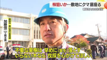 柿の実ねらいで住宅にクマ居座る…「通学路なので心配」1週間ほぼ毎日目撃・30日休校　山形・鶴岡市大山