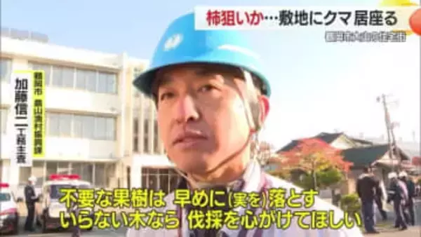 柿の実ねらいで住宅にクマ居座る…「通学路なので心配」1週間ほぼ毎日目撃・30日休校　山形・鶴岡市大山