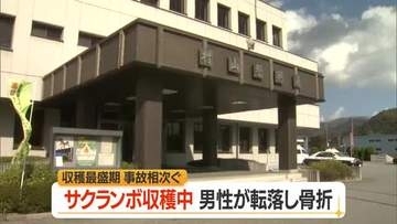 サクランボ収穫作業中に脚立から転落して男性骨折・命に別条なし　山形・東根市板垣北通り