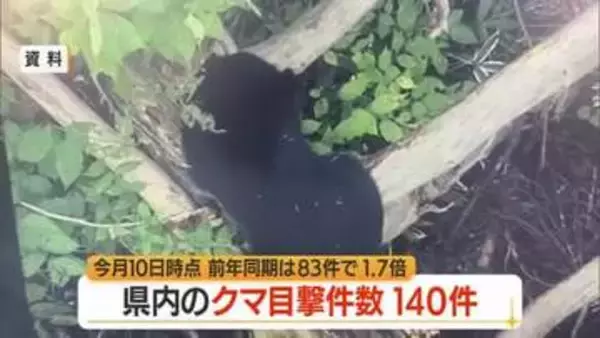 県内のクマ目撃140件（前年比+57件・1.7倍）うち59件庄内　山菜採りで襲われたケース2件　山形