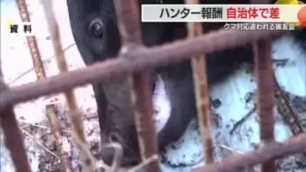 6倍の差も…クマ駆除・捕獲報酬　猟友会・ハンターの報酬は自治体により差大きい　山形・FNNアンケート
