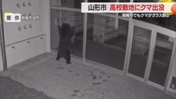 クマが赤湯小の職員玄関のガラス割る・東海大山形高でネットによじ登る　臨時休校・短縮授業など対応　山形
