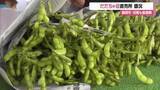 「「甘さと香りが全然違う」　だだちゃ豆の収穫最盛期・直売所にぎわう　山形・鶴岡市」の画像1