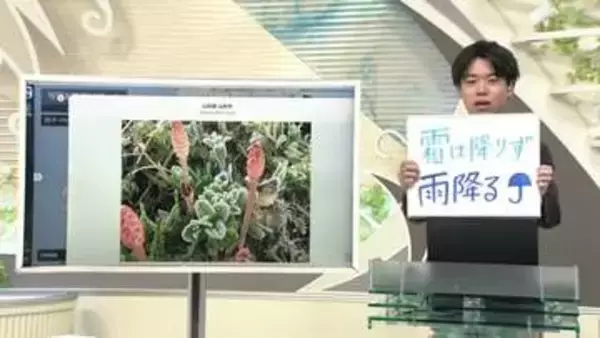 【エンドトーク】「霜は降りず雨降る」　きょうの1枚＆あすの天気のポイント　山形