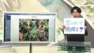 【エンドトーク】「霜は降りず雨降る」　きょうの1枚＆あすの天気のポイント　山形