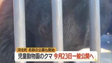 保護された野生のクマ7月23日から一般公開・ウェブで名前も募集　山形・河北町児童動物園