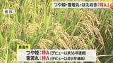 「県産米の特A獲得数「5つ」は全国1位・コメの食味ランキング　つや姫・雪若丸・はえぬきも特A　山形」の画像1