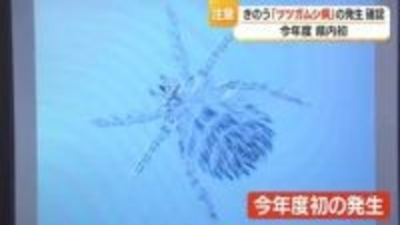治療遅れると死に至るケースも　2026年初「ツツガムシ病」　田畑仕事で素肌露出しないで　山形