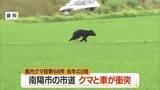 「【クマ出没】車と衝突後山へ・2025年比3倍の目撃件数…本格化する農作業・山菜採り時に注意を　山形」の画像1
