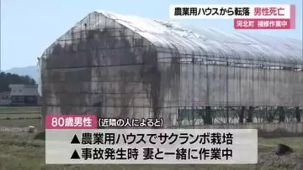 サクランボ育てる農業用ハウスから転落…80歳男性死亡・多発性外傷　妻と2人で補修作業中　山形・河北町
