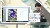 「【エンドトーク】「前線カムバック・日曜雨量まとまる」週末のポイント＆きょうの1枚　山形」の画像1