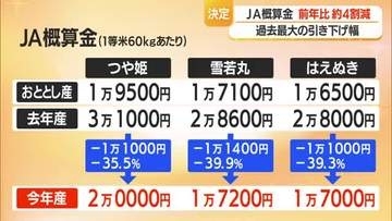 つや姫2万円・雪若丸1万7200円　県産米「概算金」決定・前年比1万1000円程度の大幅減額　山形