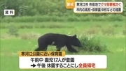 【クマ出没】東北グンゼ工場敷地内・寒河江公園などで目撃相次ぐ　高校・保育園など休校措置　山形・寒河江