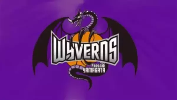 【山形ワイヴァンズ】ホームで信州に連敗・前半リードも後半失速勢いに乗れず　次節はアウェーで横浜戦